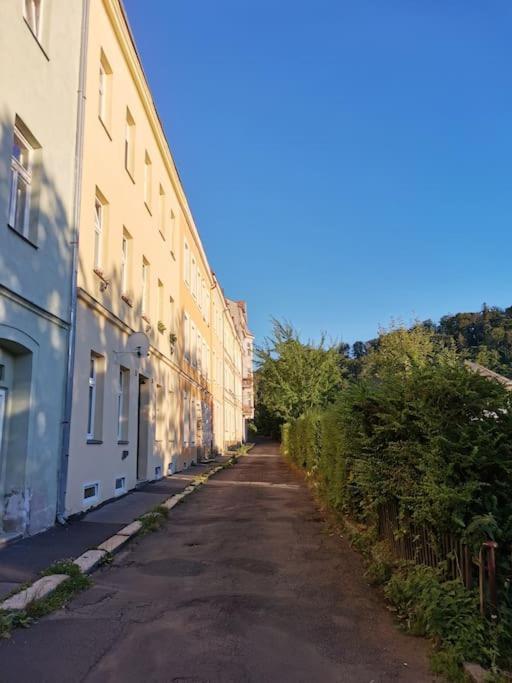 Ubytovani Ester - Utulny Byt V Lazenskem Centru Karlovych Varu Se Zahradkou Lägenhet Karlsbad Exteriör bild