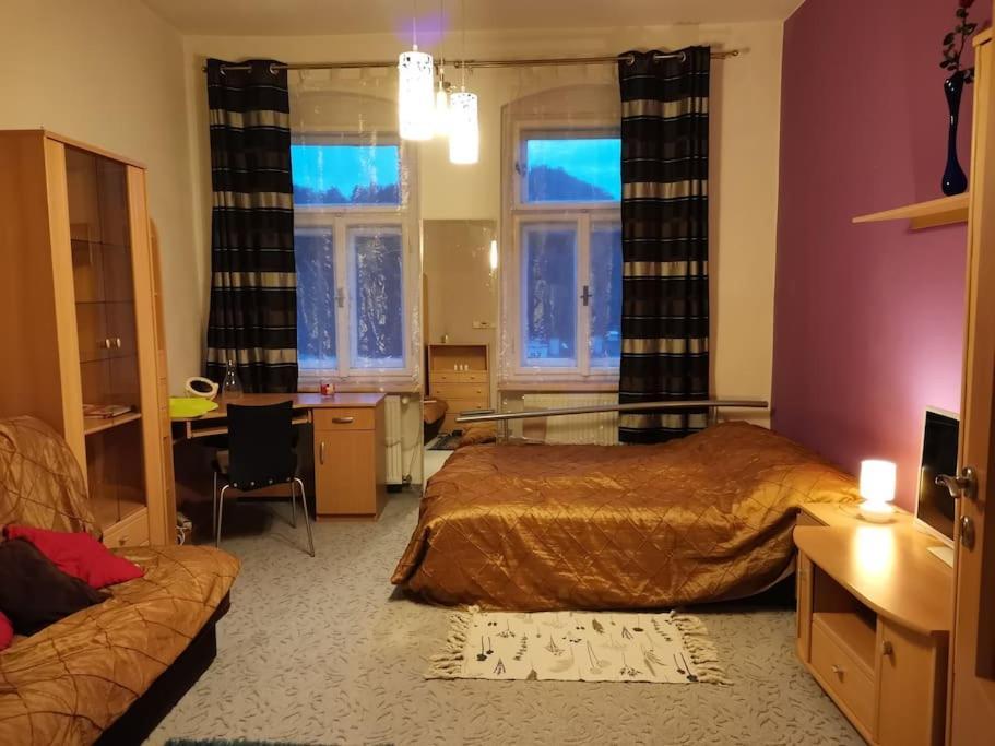 Ubytovani Ester - Utulny Byt V Lazenskem Centru Karlovych Varu Se Zahradkou Lägenhet Karlsbad Exteriör bild