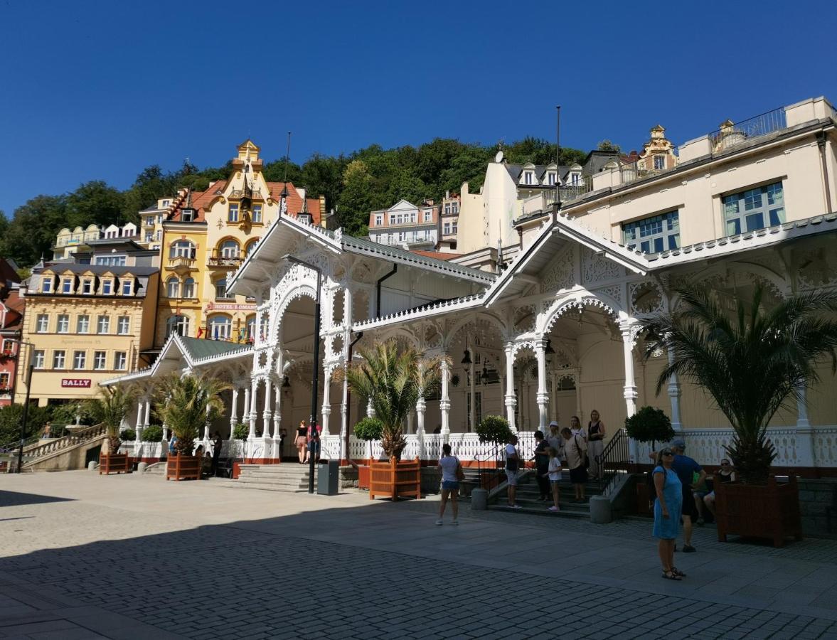 Ubytovani Ester - Utulny Byt V Lazenskem Centru Karlovych Varu Se Zahradkou Lägenhet Karlsbad Exteriör bild