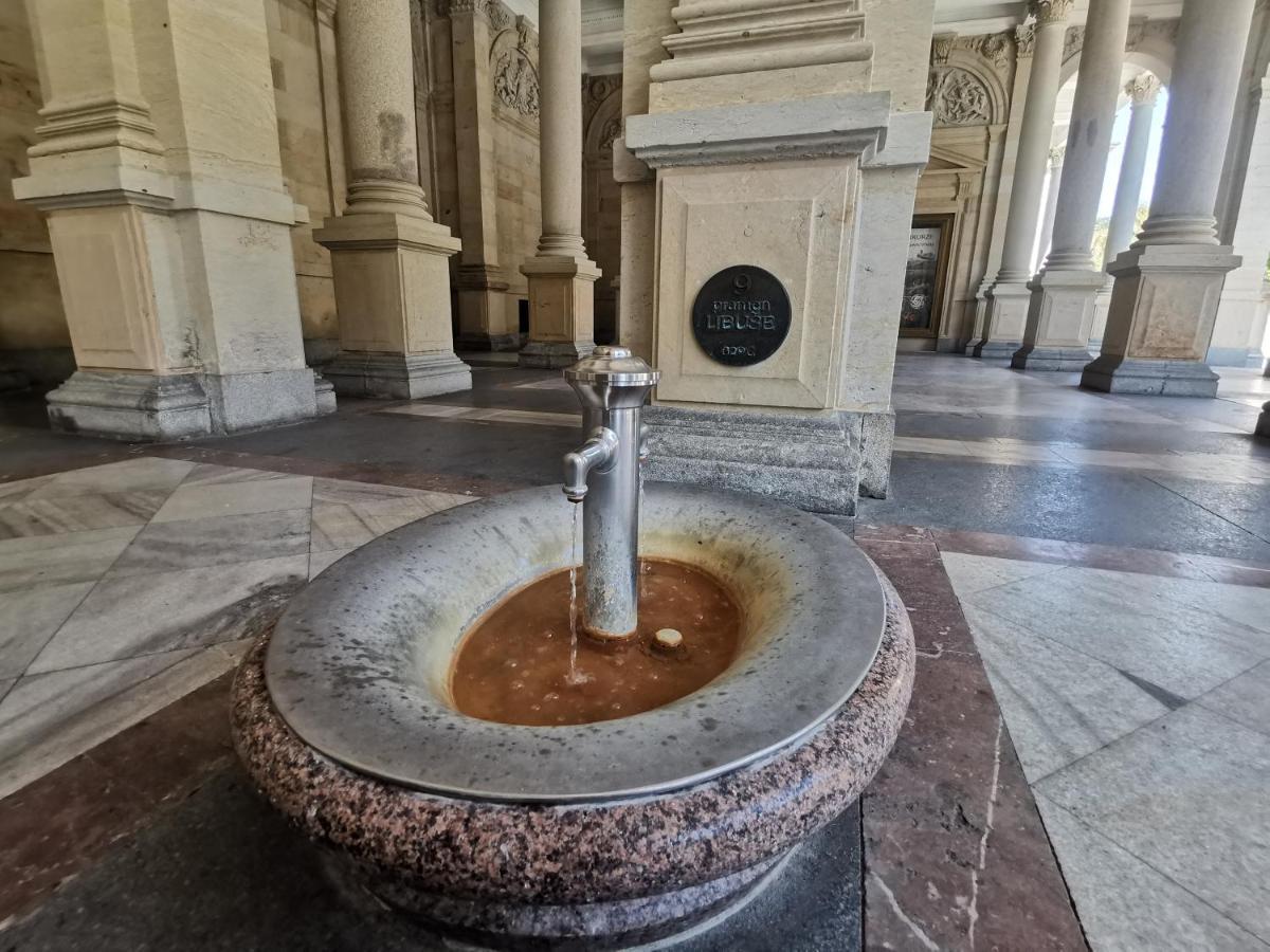 Ubytovani Ester - Utulny Byt V Lazenskem Centru Karlovych Varu Se Zahradkou Lägenhet Karlsbad Exteriör bild